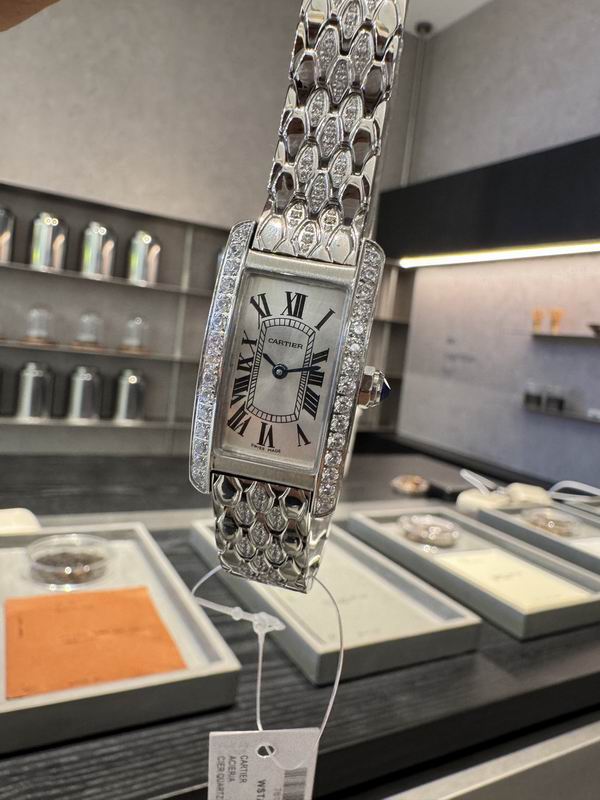 Cartier 20X35mm 101580